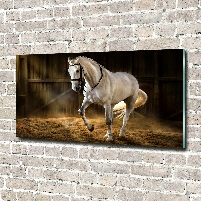 Schilderij op glas Wit paard in de stal