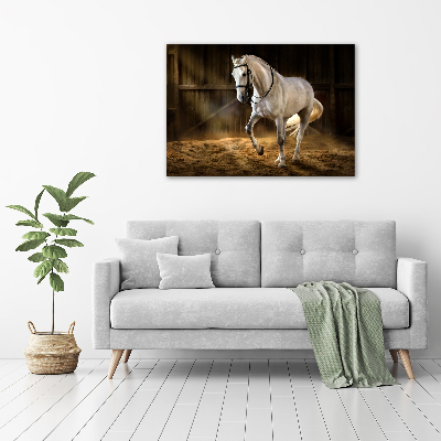 Schilderij op glas Wit paard in de stal