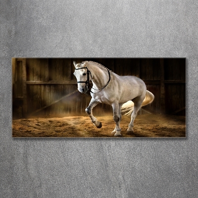 Schilderij op glas Wit paard in de stal