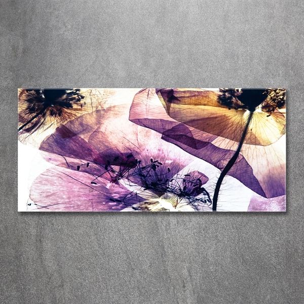 Schilderij glas Droge klaprozen