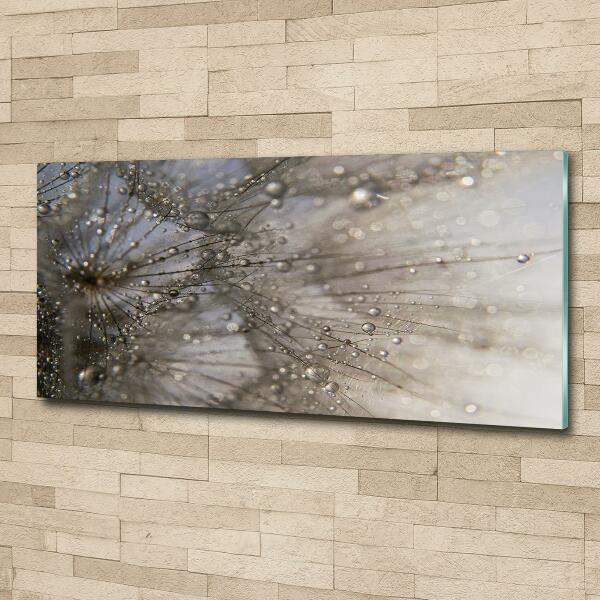 Foto schilderij op glas Paardenbloemzaden