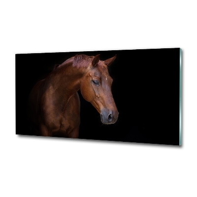 Schilderij glas Bruin paard