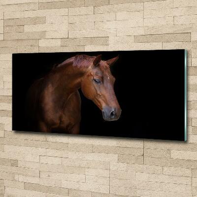 Schilderij glas Bruin paard
