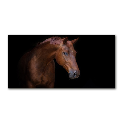 Schilderij glas Bruin paard