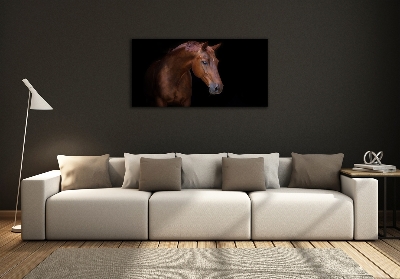 Schilderij glas Bruin paard