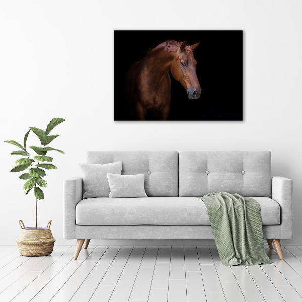 Schilderij glas Bruin paard