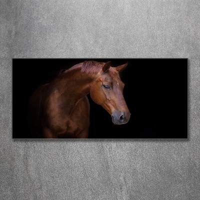 Schilderij glas Bruin paard
