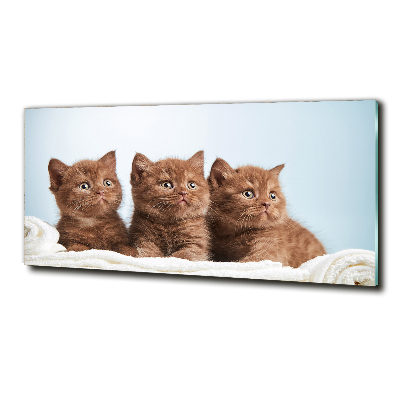 Schilderij op glas Kittens op een handdoek