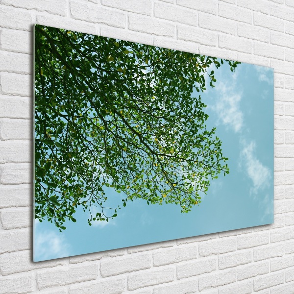 Schilderij op glas Bladeren in de lucht