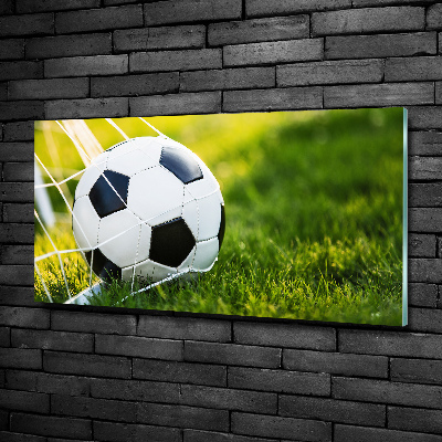 Foto schilderij op glas De bal ligt in het doel.