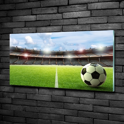 Foto obraz szklany Piłka na murawie