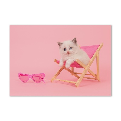 Foto schilderij op glas Kat op een ligstoel