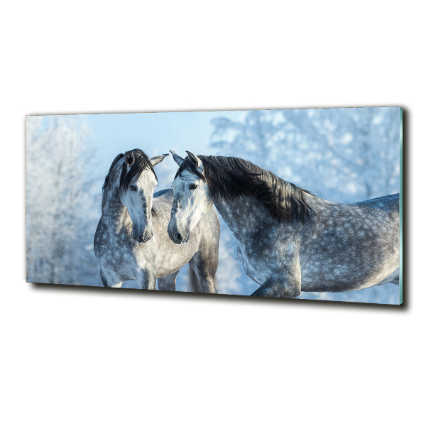 Schilderij op glas Grijze paarden in de winter