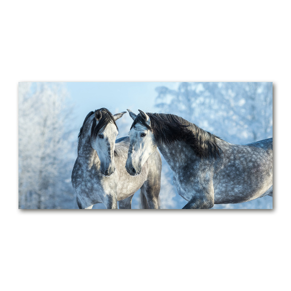 Schilderij op glas Grijze paarden in de winter
