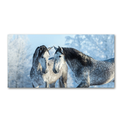 Schilderij op glas Grijze paarden in de winter