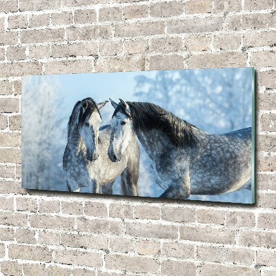 Schilderij op glas Grijze paarden in de winter