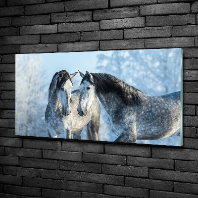 Schilderij op glas Grijze paarden in de winter