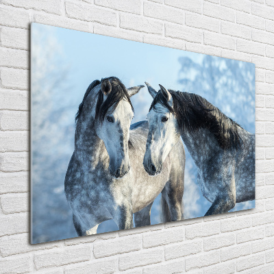 Schilderij op glas Grijze paarden in de winter