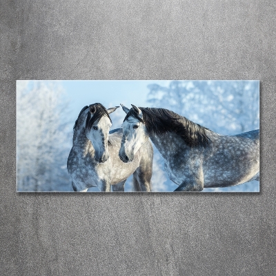Schilderij op glas Grijze paarden in de winter