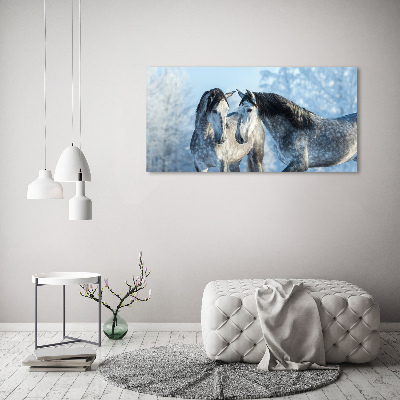 Schilderij op glas Grijze paarden in de winter