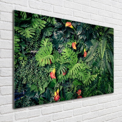 Schilderij op glas Exotische jungle