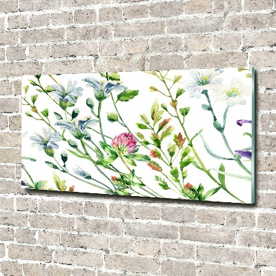 Foto schilderij op glas Wilde bloemen