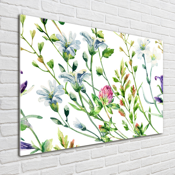 Foto schilderij op glas Wilde bloemen