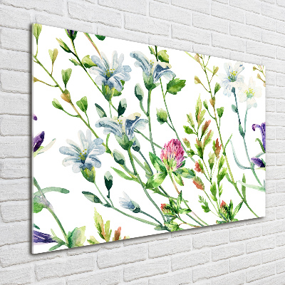 Foto schilderij op glas Wilde bloemen