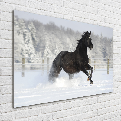 Schilderij glas Een paard dat galoppeert in de sneeuw
