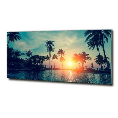 Schilderij glas Palm Sunset