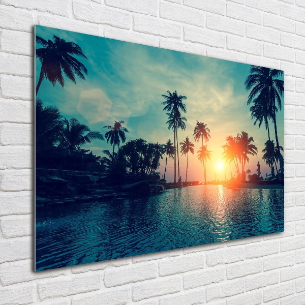 Schilderij glas Palm Sunset