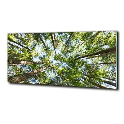 Foto schilderij op glas Boomkroon