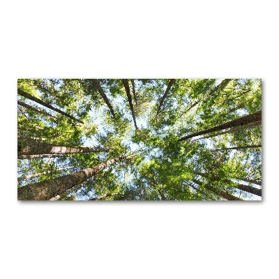 Foto schilderij op glas Boomkroon