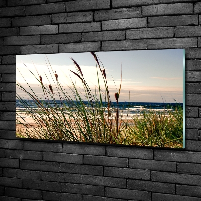 Foto obraz szklany Nadmorskie wydmy