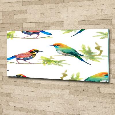 Foto schilderij op glas Exotische vogels