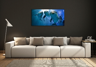 Schilderij op glas Drie dolfijnen