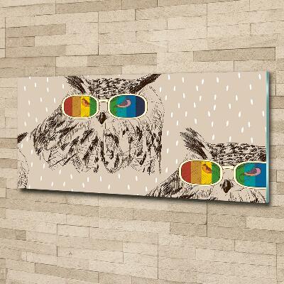 Foto schilderij op glas Uilen met een bril