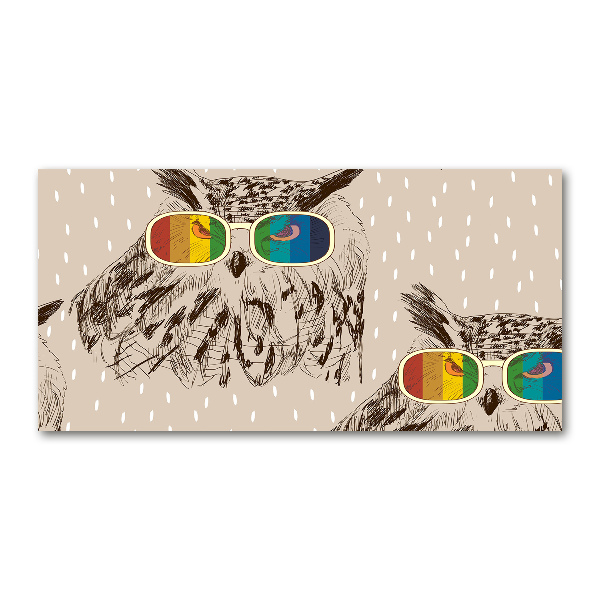 Foto schilderij op glas Uilen met een bril