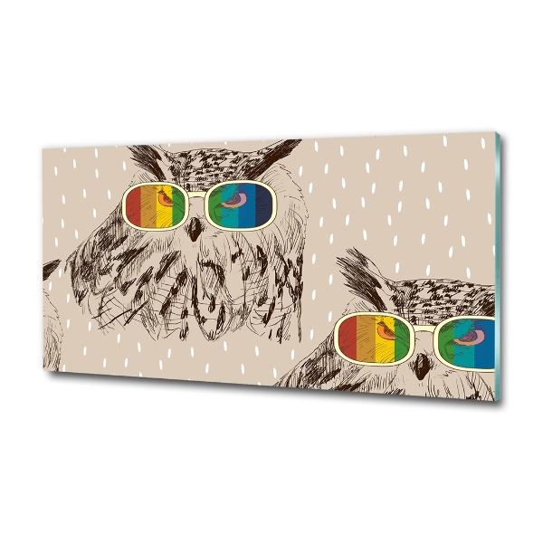 Foto schilderij op glas Uilen met een bril