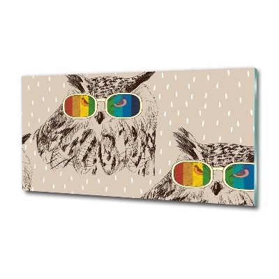 Foto schilderij op glas Uilen met een bril
