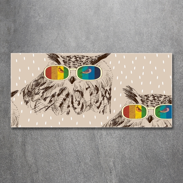 Foto schilderij op glas Uilen met een bril