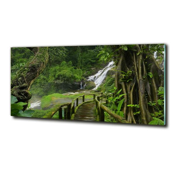 Glazen schilderij Waterval in de jungle