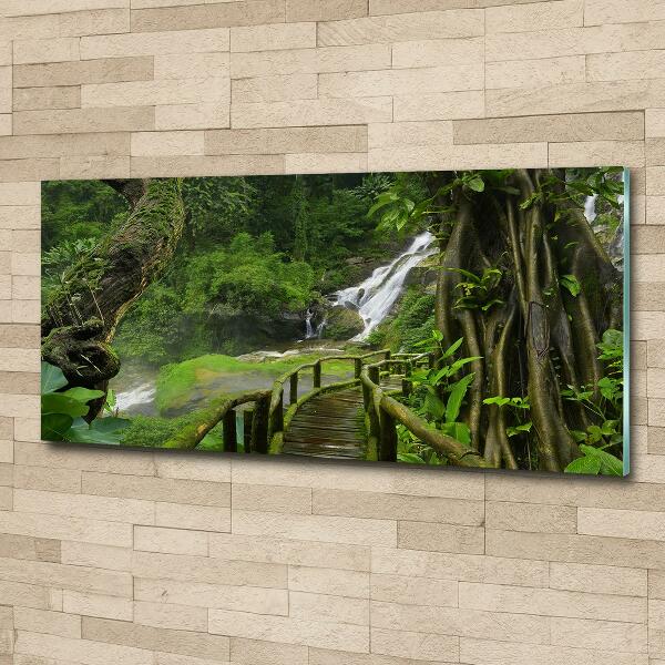 Glazen schilderij Waterval in de jungle