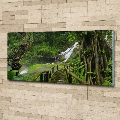Glazen schilderij Waterval in de jungle