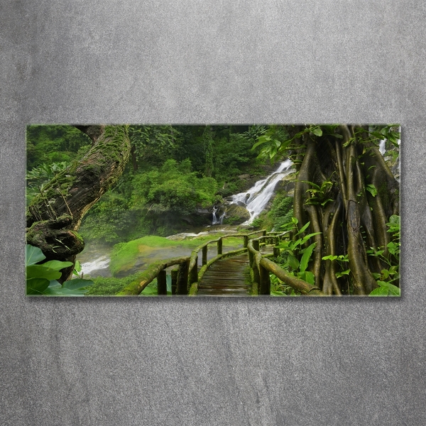 Glazen schilderij Waterval in de jungle
