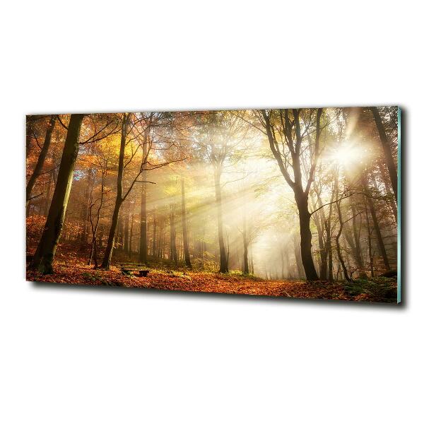 Schilderij op glas Mist in het bos