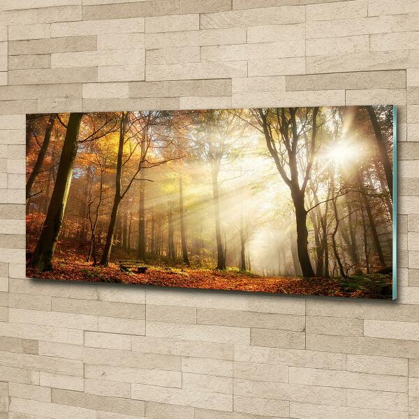 Schilderij op glas Mist in het bos