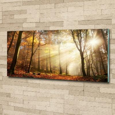 Schilderij op glas Mist in het bos