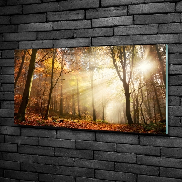 Schilderij op glas Mist in het bos