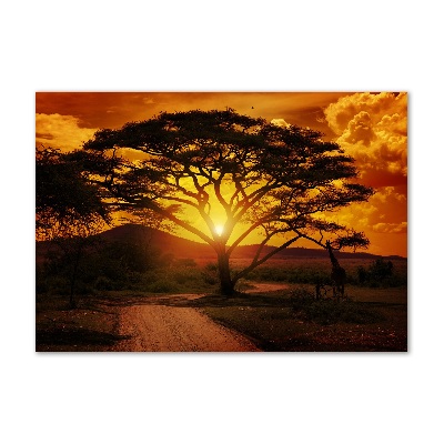 Schilderij glas West-Afrika